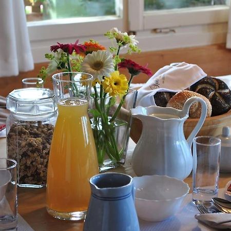 Grosszuegige Ferienwohnung Am Skigebiet Boedele Mit Rheintalblick Дорнбирн Экстерьер фото